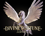Divine Fortune Black